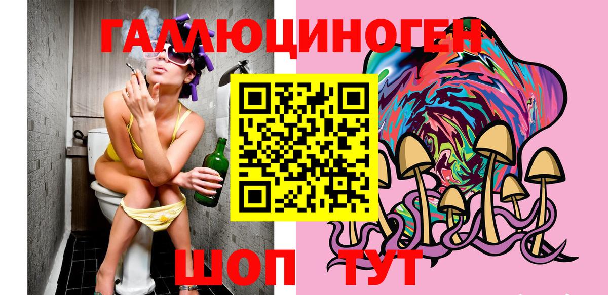 Псилоцибиновые грибы прущие грибы  Вход с VPN  Гусиноозёрск 