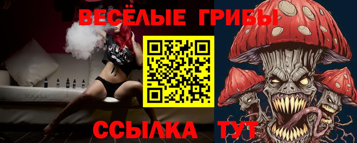 Псилоцибиновые грибы GOLDEN TEACHER Гусиноозёрск
